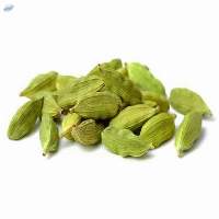 Cardamom