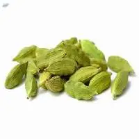 Cardamom