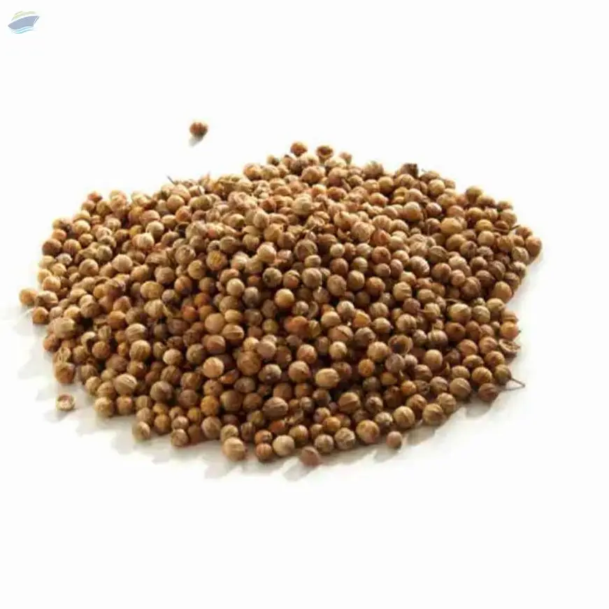 Coriander Seed
