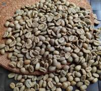 Coffee Green Bean Arabica Gayo Organic