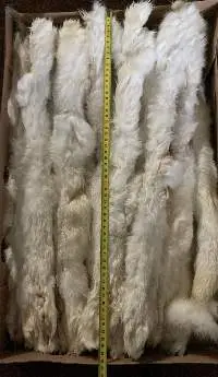Rabbit Skin With Fur - Premium