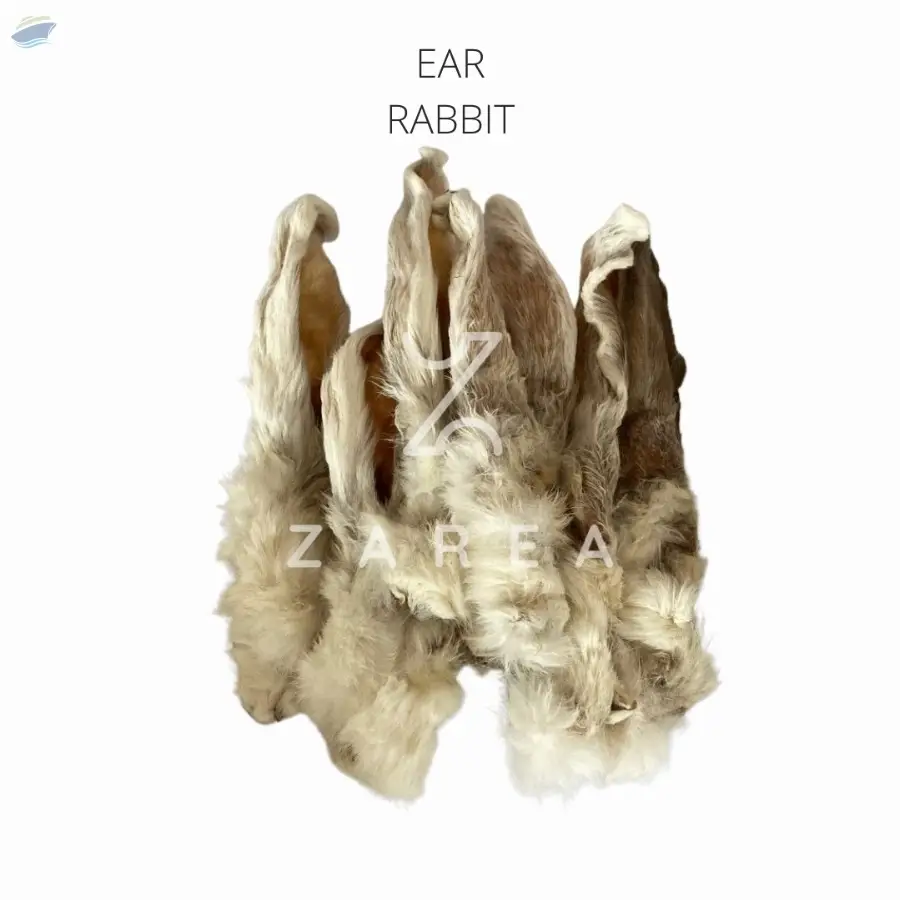 Rabbit Ears With Fur