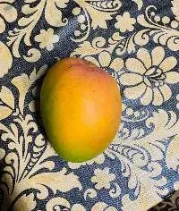 Alphonso Mangoes