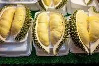 Frozen Durian