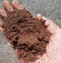 Palm Kernel Expeller
