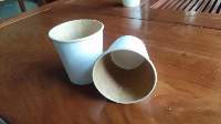 Corn Starch Biodegradable products - PLA Coated