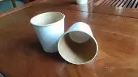 Corn Starch Biodegradable products - PLA Coated