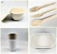 Bagasse Tableware