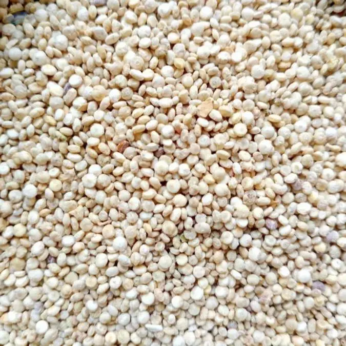 Quinoa Seeds