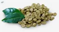 Robusta Coffee Beans