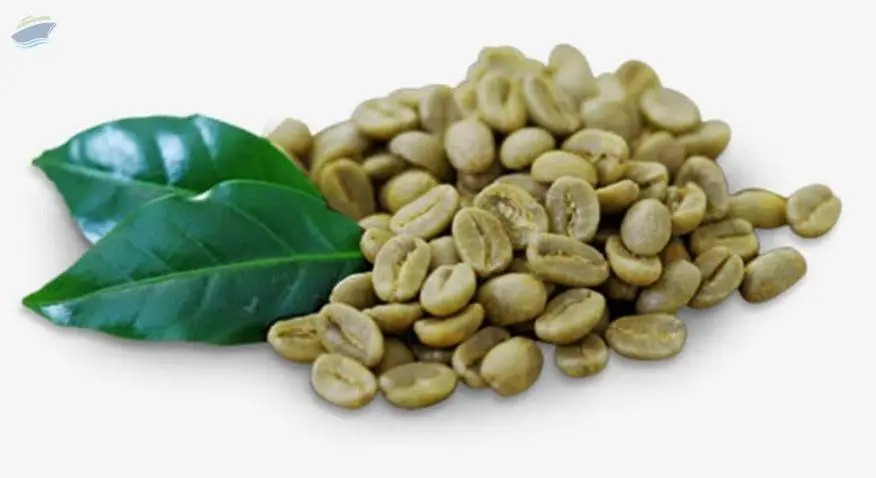 Robusta Coffee Beans