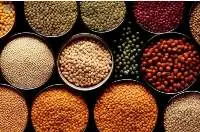 Pulses