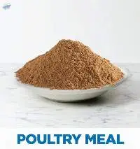 Poultry Meal