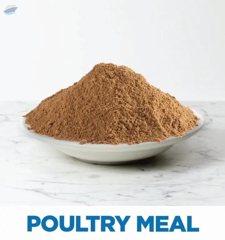 Poultry Meal