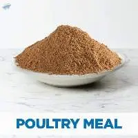 Poultry By-product Meal