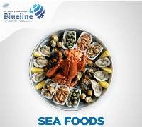 Seafood