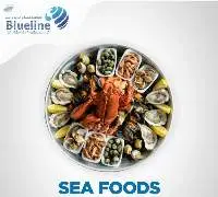 Seafood