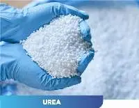 Urea
