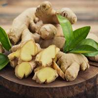 Ginger