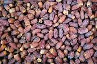 Medjool Dates