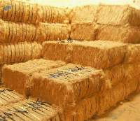 Coconut Fiber