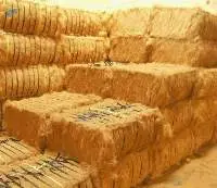 Coconut Fiber