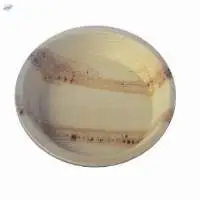 Standard Round Plate 20 cm