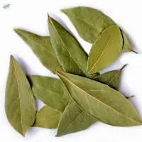 Bay Leaf