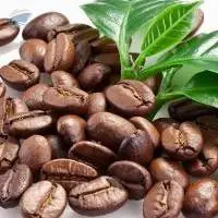 Arabica Coffee Beans