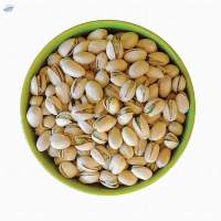 Pistachio