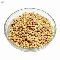 Coriander Seeds