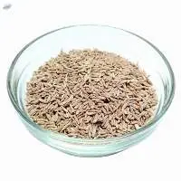 Cumin Seeds