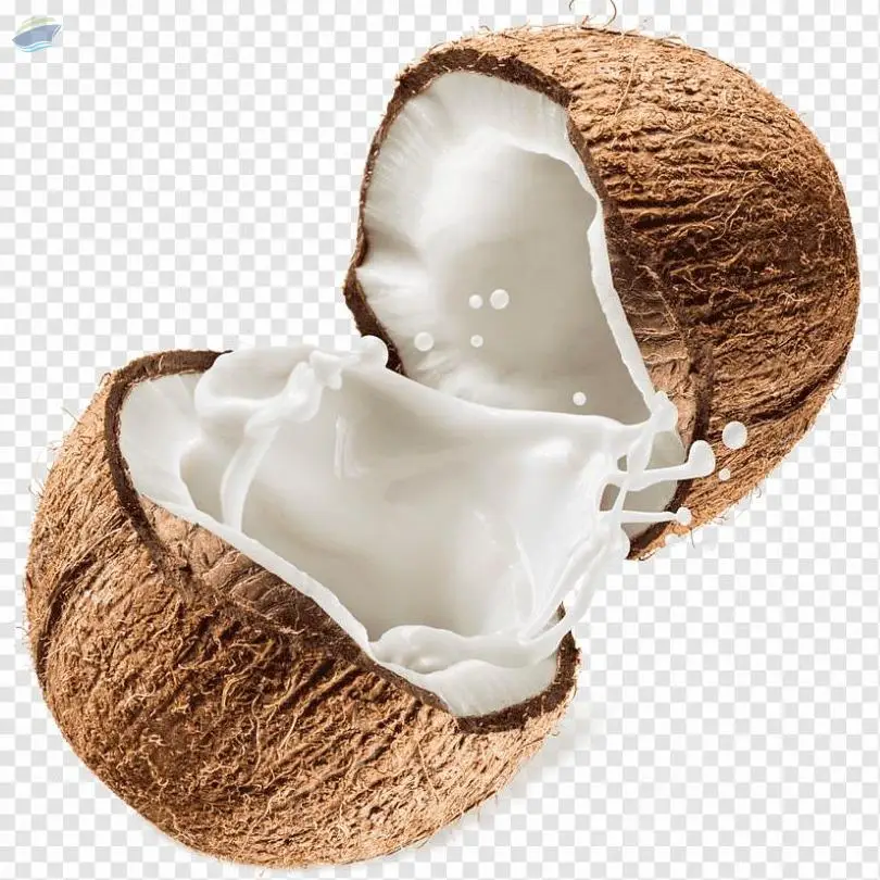 Semi Husked Coconut
