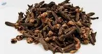 Clove