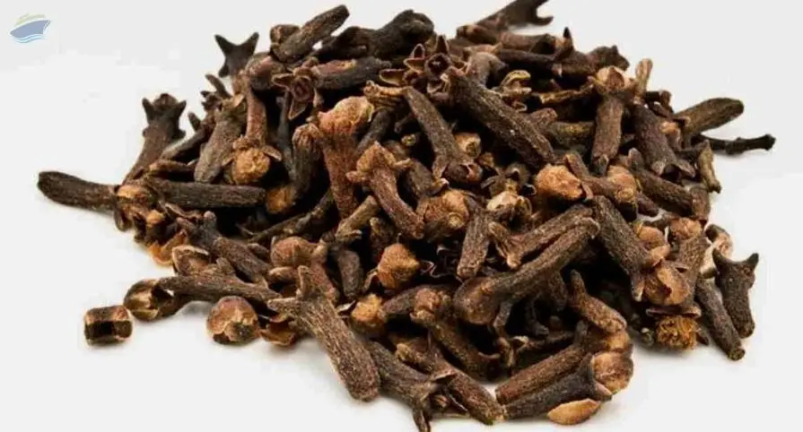 Clove