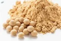 Soybean Meal