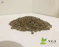 Arabica Gayo