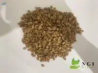 Arabica Java