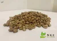 Robusta Java