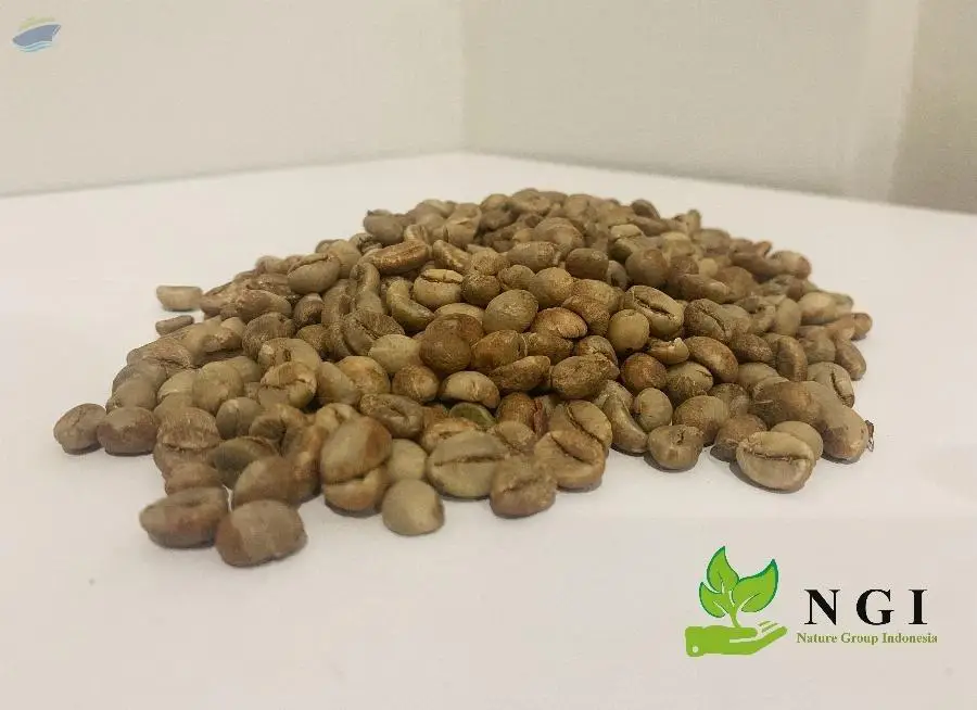 Robusta Java