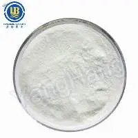 Dextrose Monohydrate