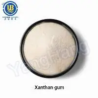 Xanthan Gum