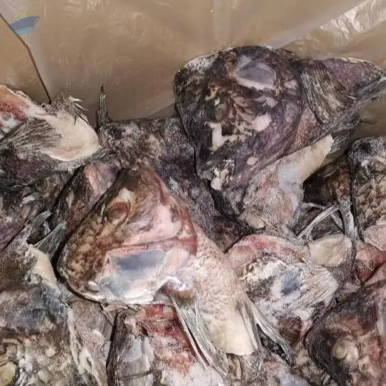 Frozen Tilapia Head