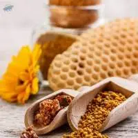 Flower Propolis