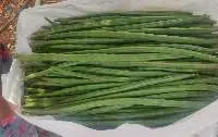 Fresh Vegetables  - Drumstick