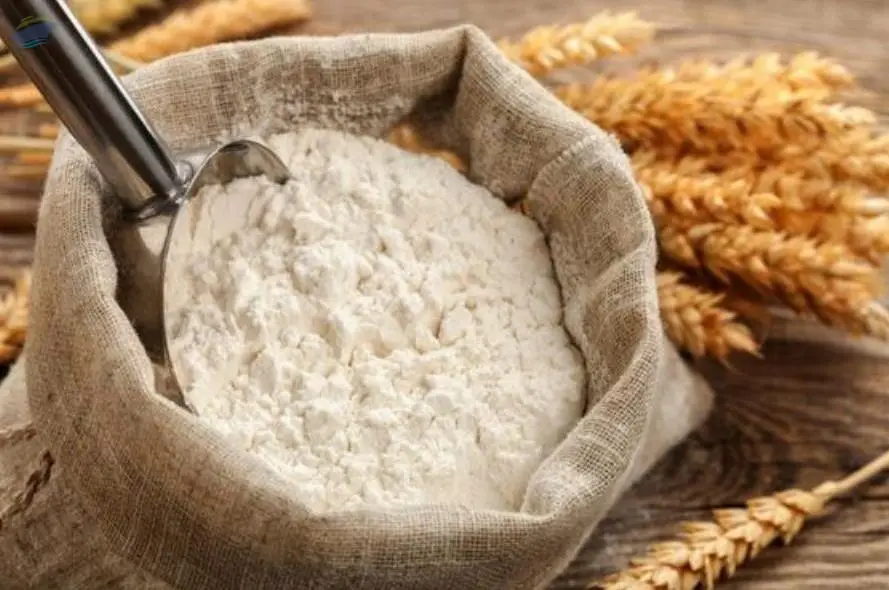 Wheat Flour