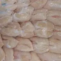 Frozen Turkey Breast Butterfly Skinless