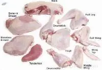 Frozen Fresh Turkey Drumsticks