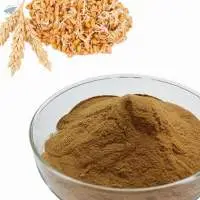 Barley Malt Powder
