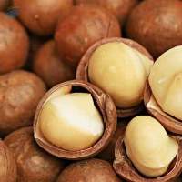 Macadamia Nuts